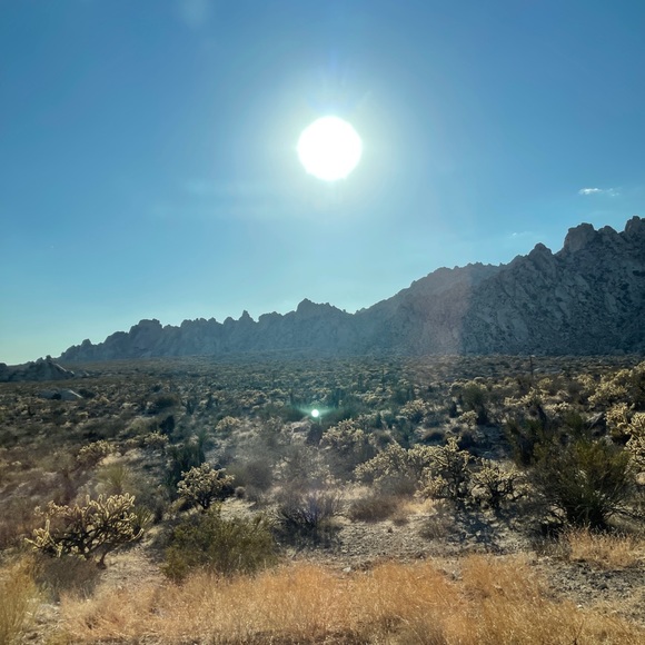 Meet your Posher - Picture 1 of 1